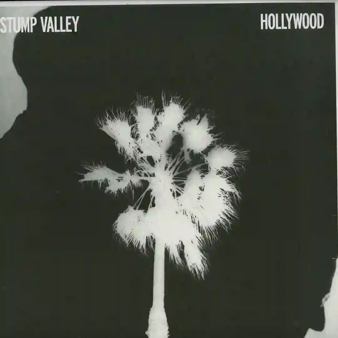 Hollywood cover