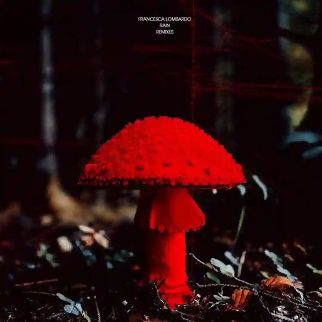 Rain (MATTOKIND Remix) cover