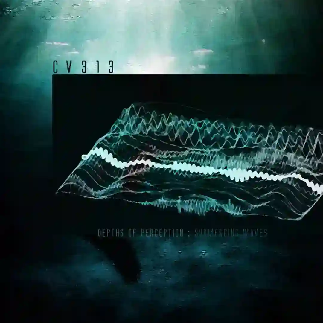 depths of perception : submerging waves cover