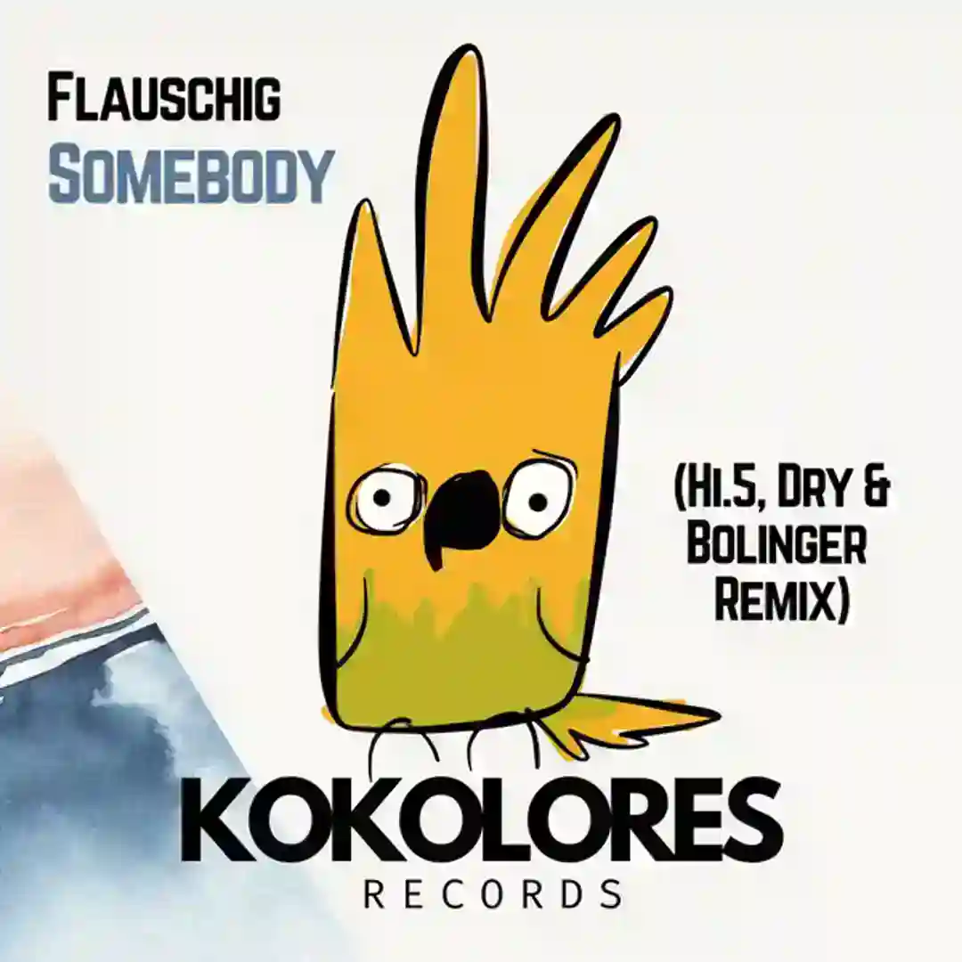 Somebody (Hi.5, Dry & Bolinger Remix [Instrumental]) cover