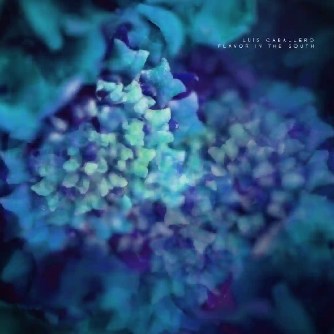 Cochaima (Original Mix) cover