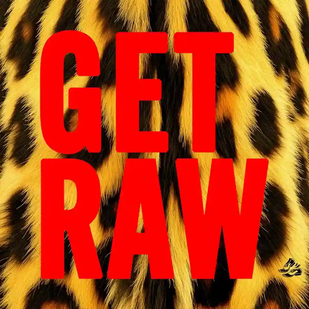 Get Raw (Radio Edit) cover