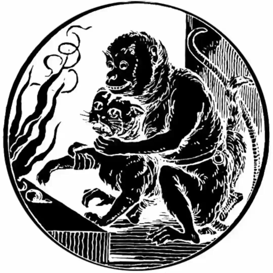 The Monkey And The Cat cover