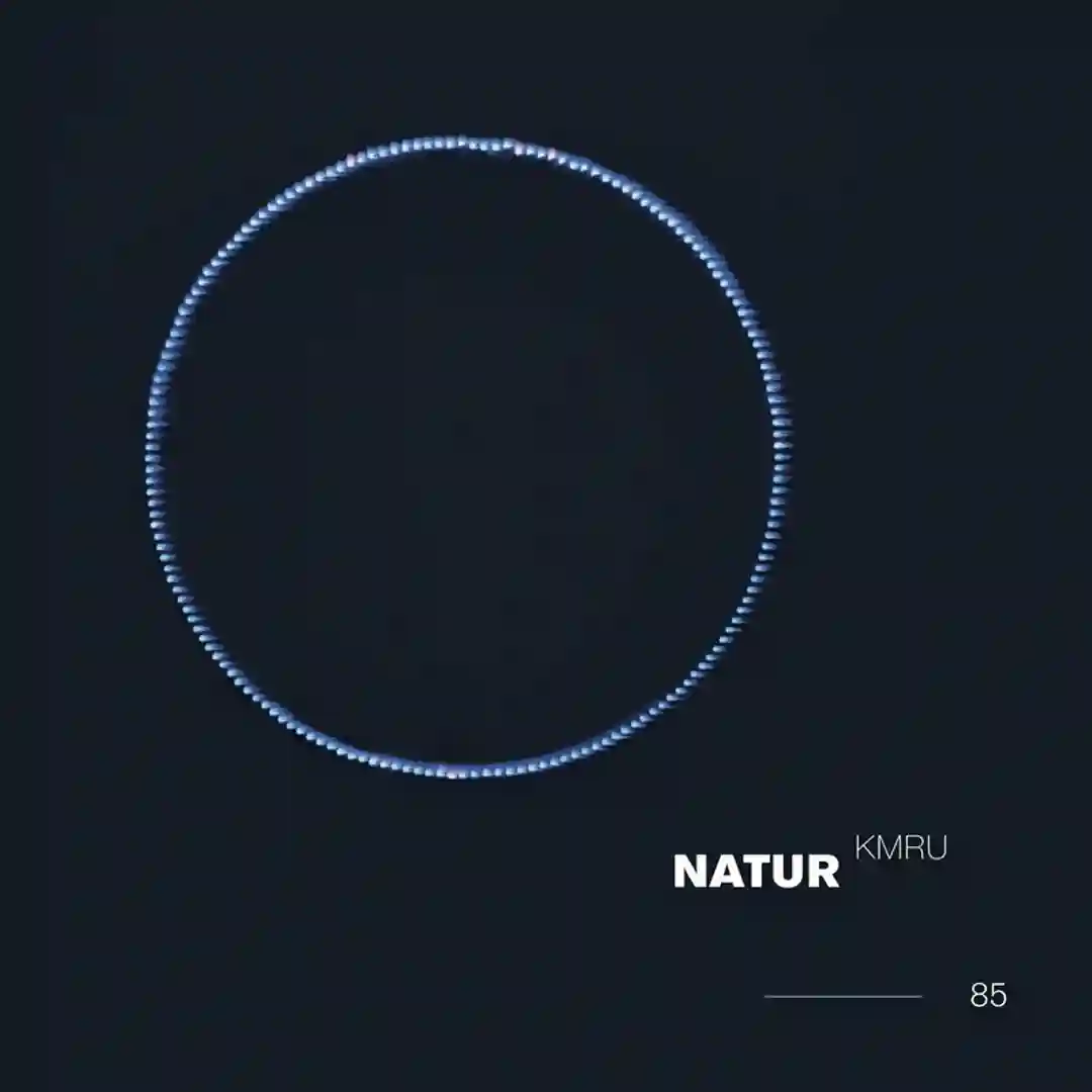 Natur 4 cover