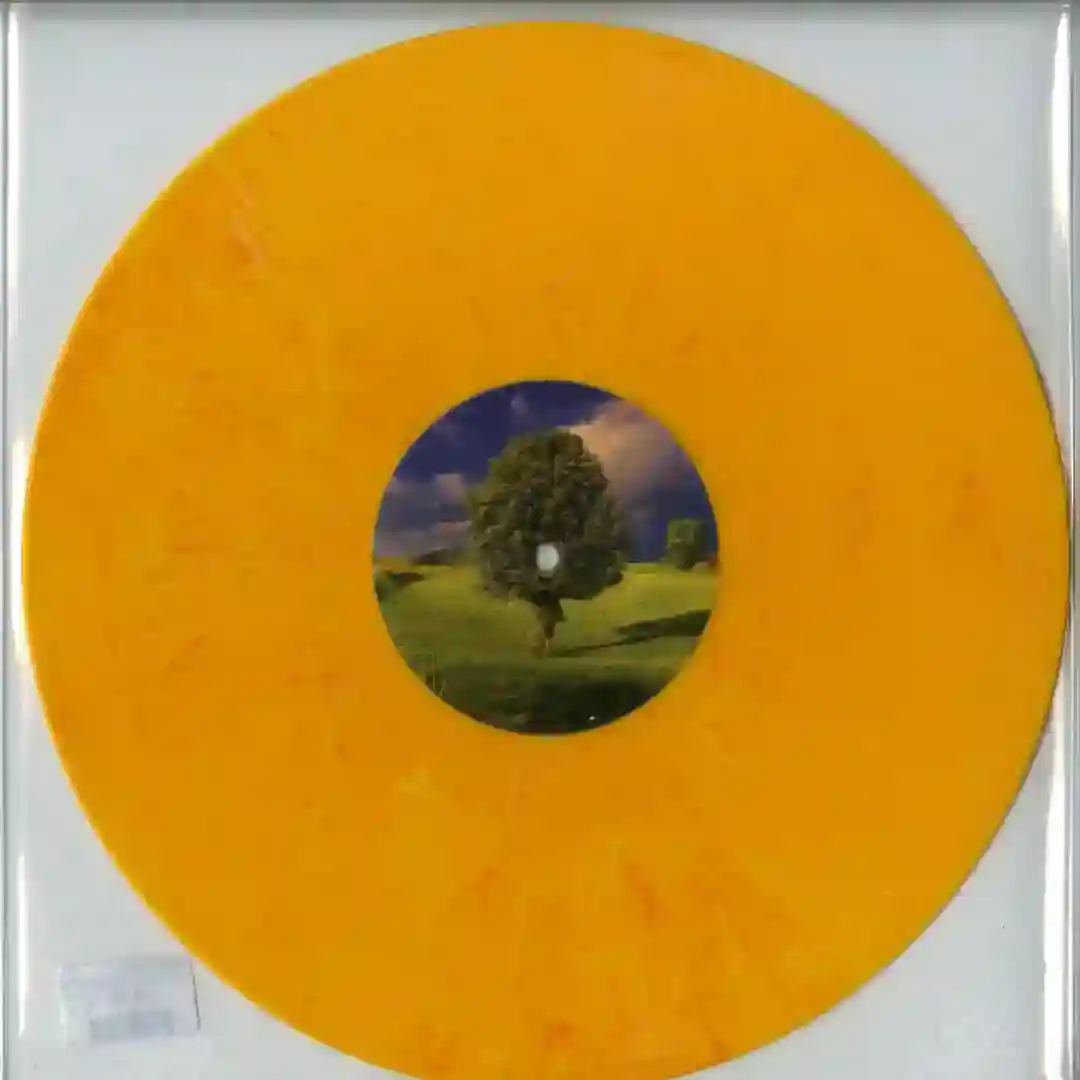 A1 #DRGS05A VINYL ONLY  cover