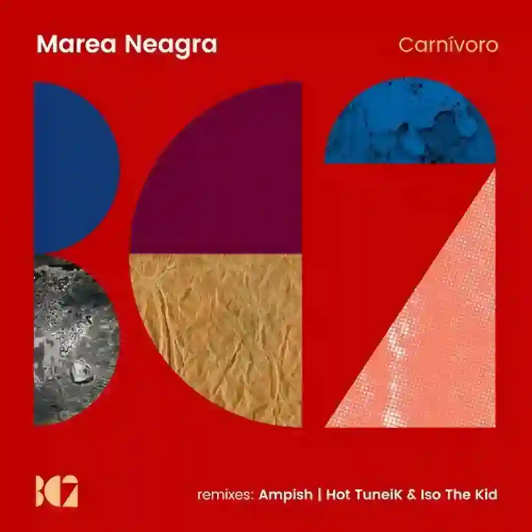 Carnívoro (Ampish Remix) cover