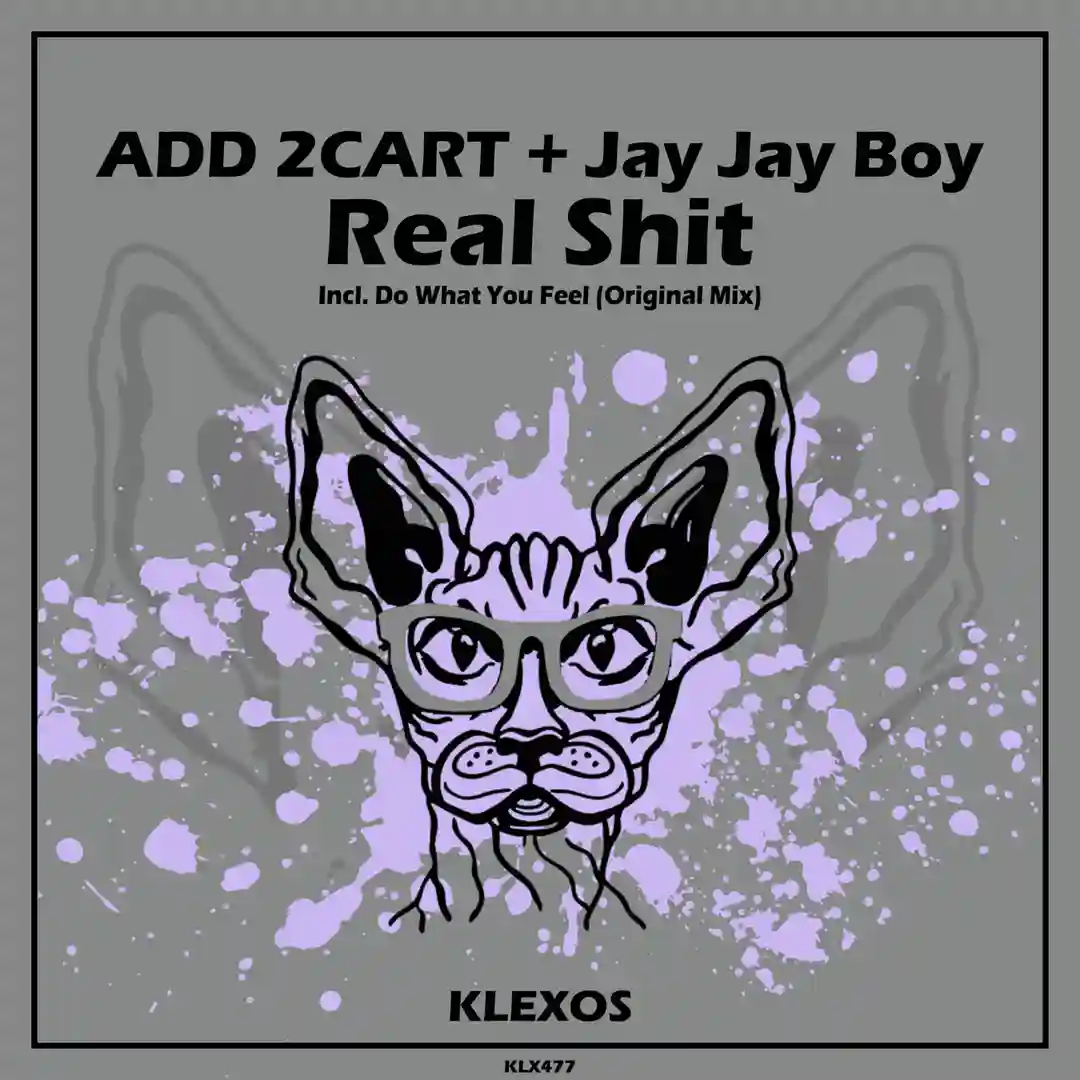 Real Shit cover