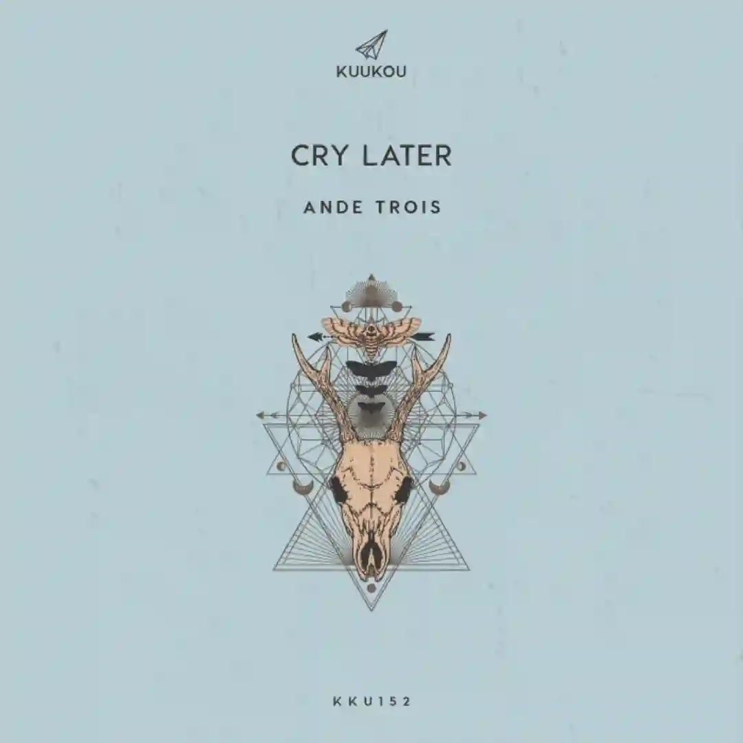 Cry Later cover