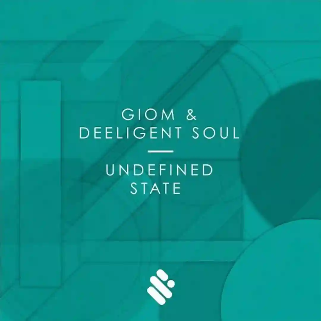 Undefined State cover