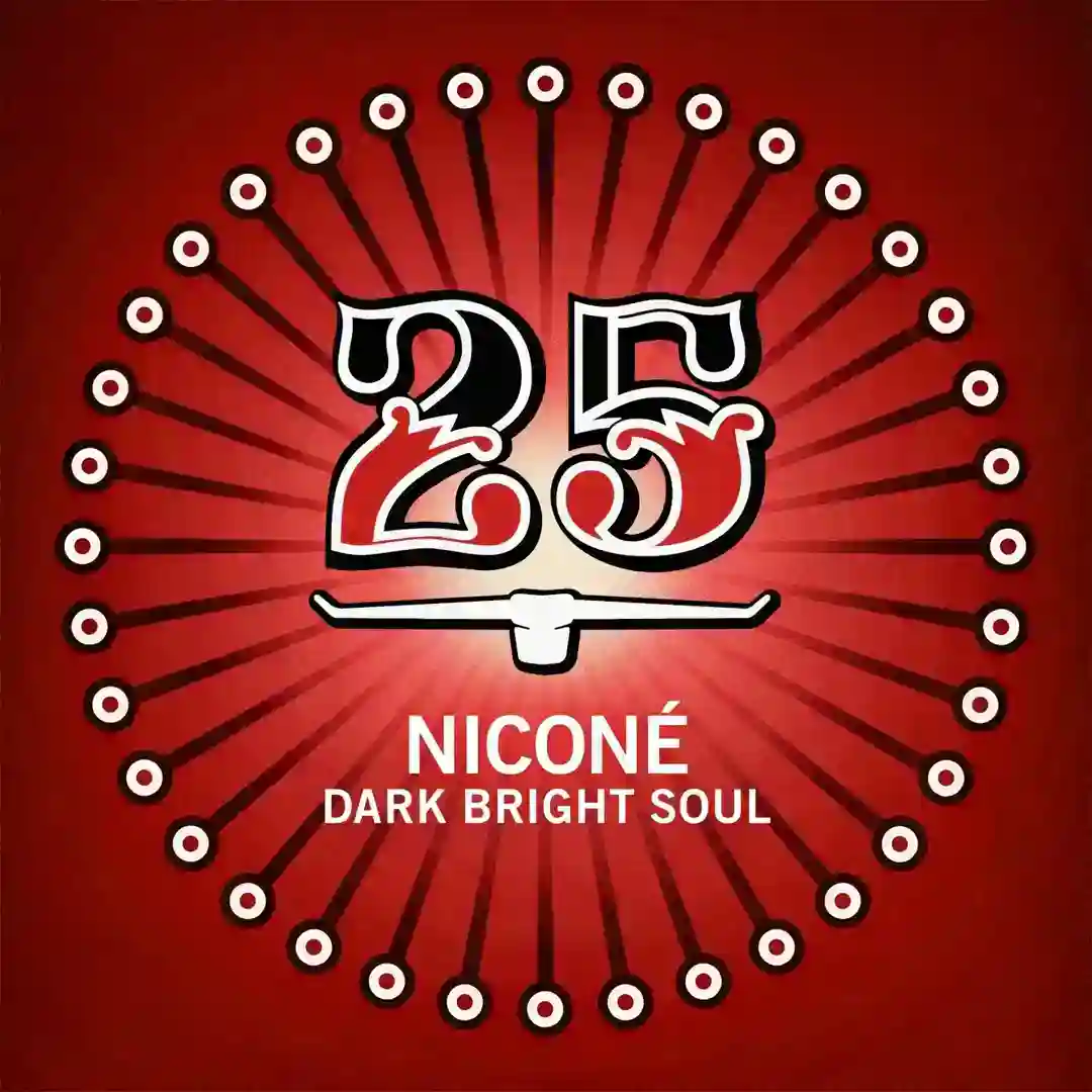 Dark Bright Soul cover