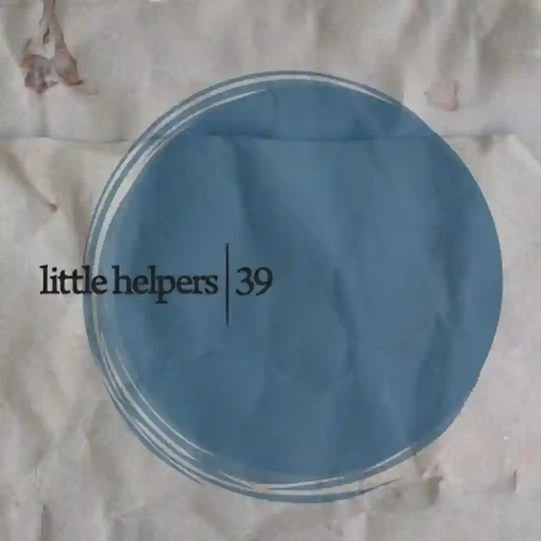 Little Helper 39-7 cover