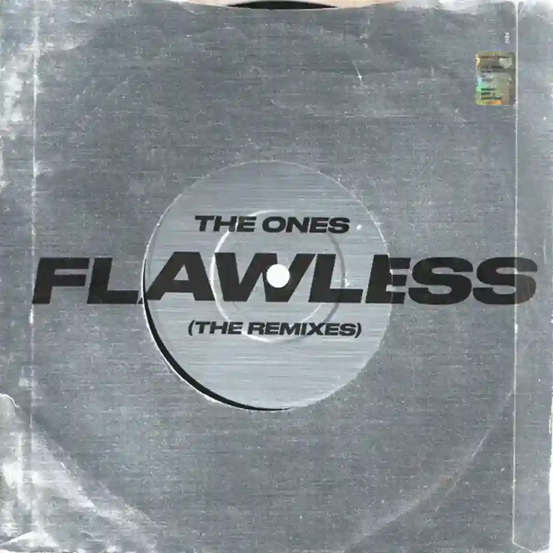 Flawless (Putacaso Remix) cover