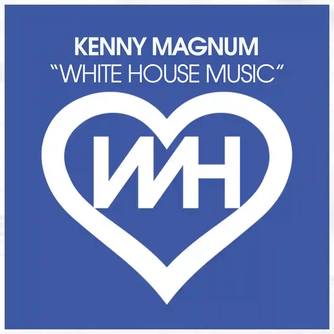 White House Music (Original Mix) cover