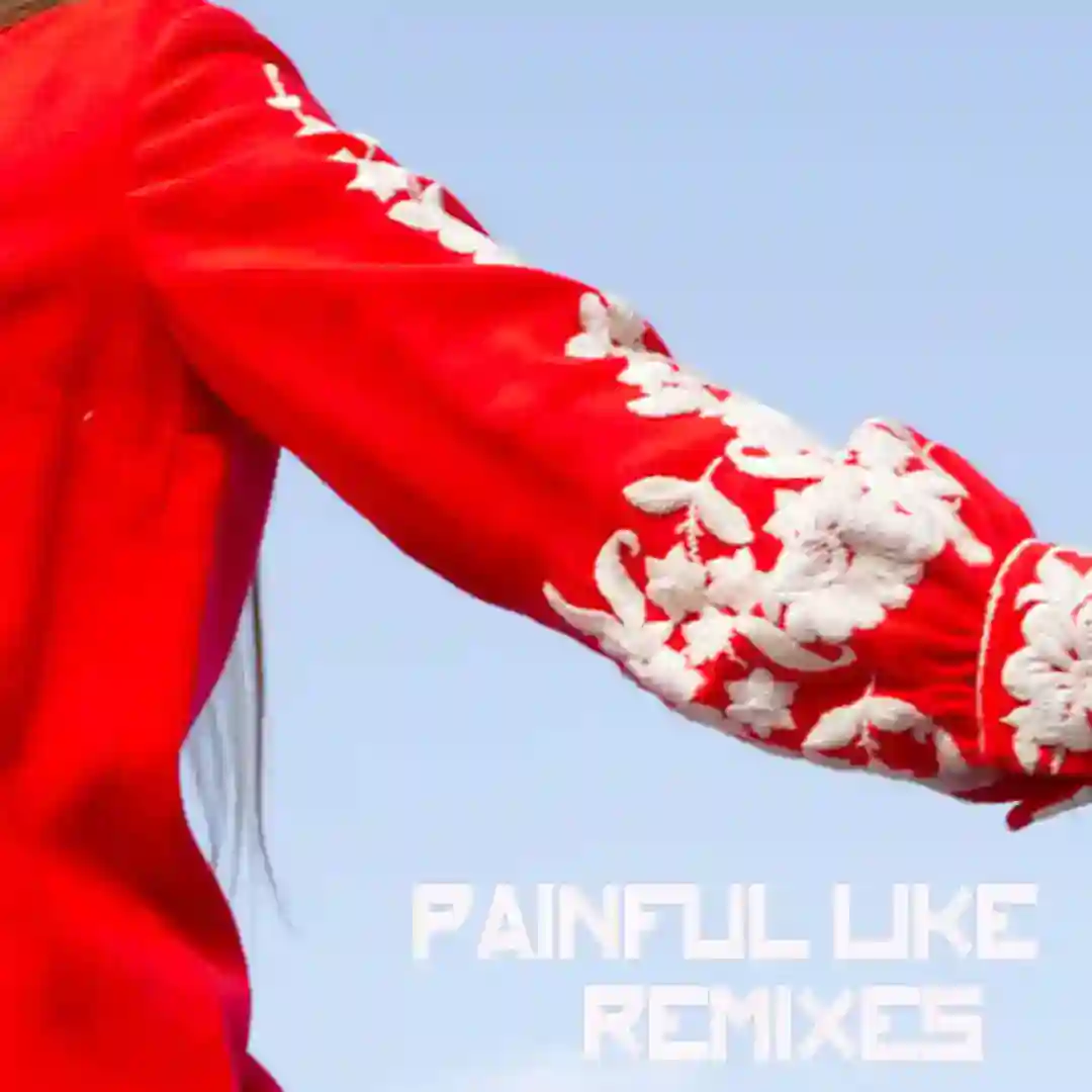 Painful Like (Peter Van Hoesen Remix) cover