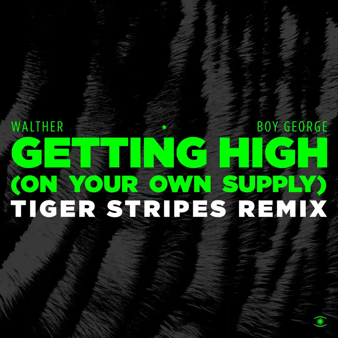 Getting High (Tiger Stripes Remix) cover