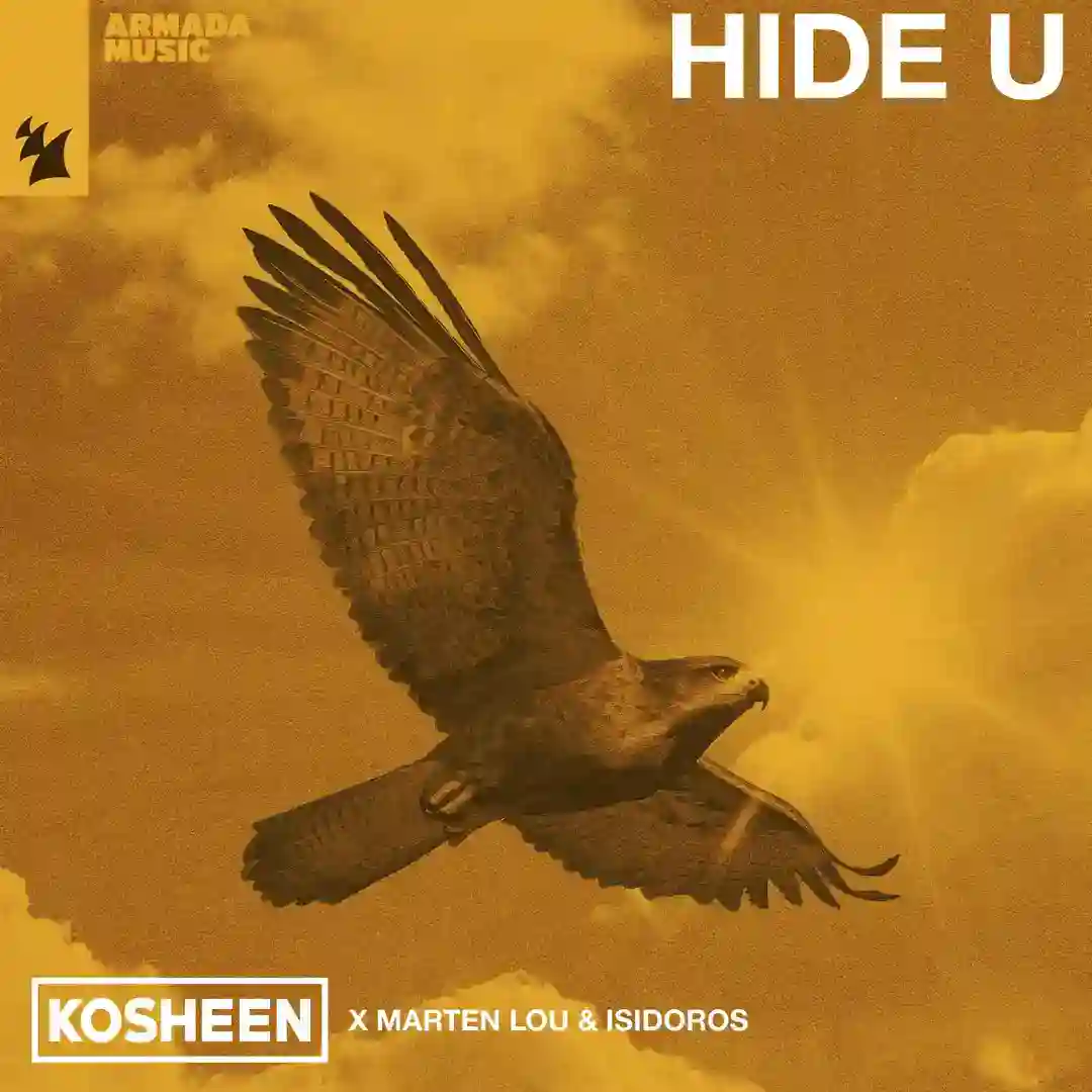 Hide U (Extended Mix) cover
