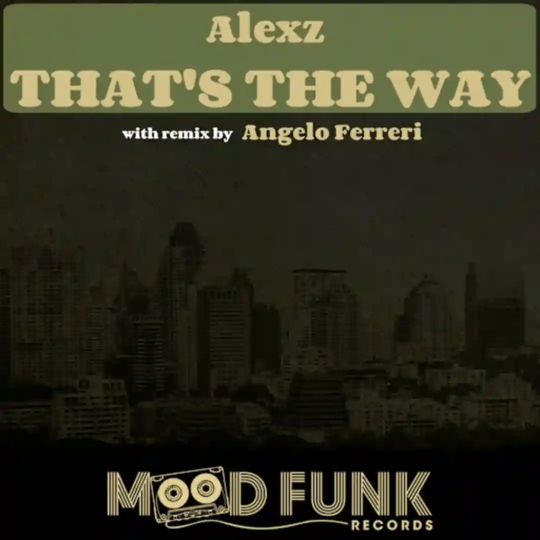 That's The Way (Original Mix) cover