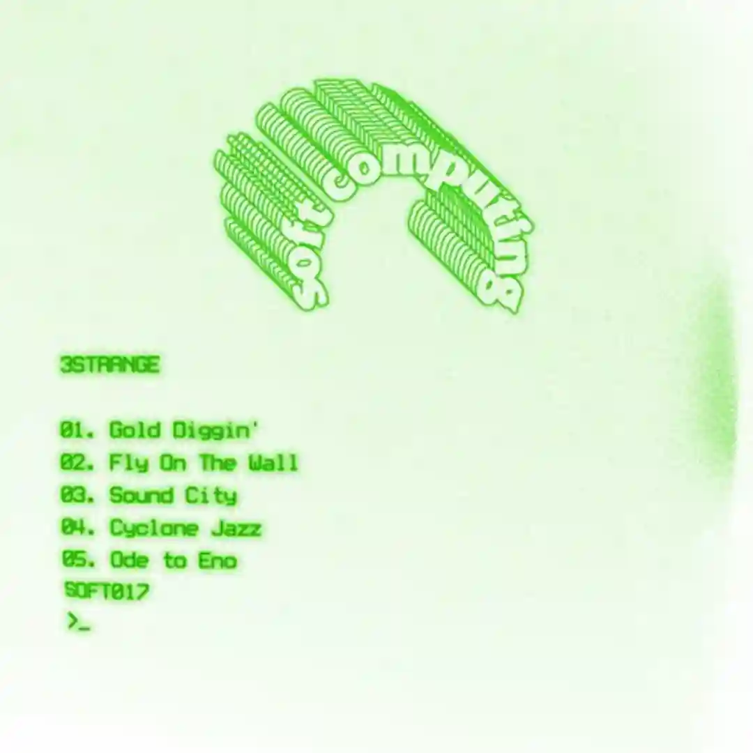 Fly on the Wall cover