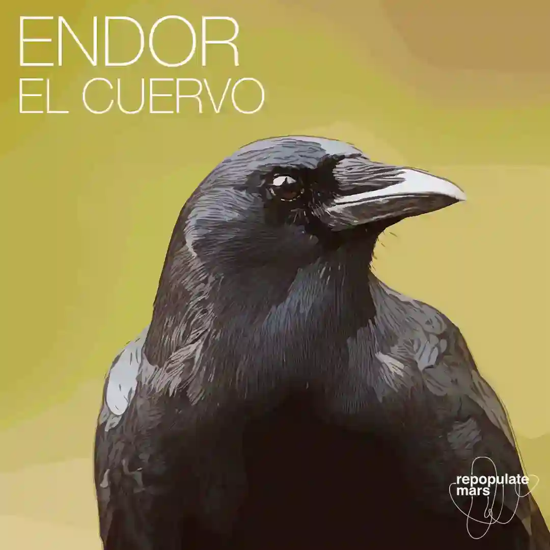 El Cuervo (Original Mix) cover