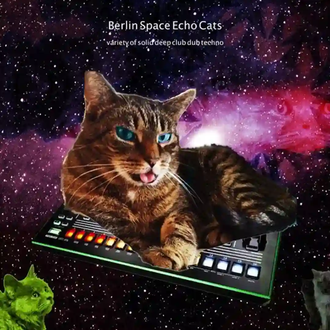 Aurora Borealis (Original Mix) cover
