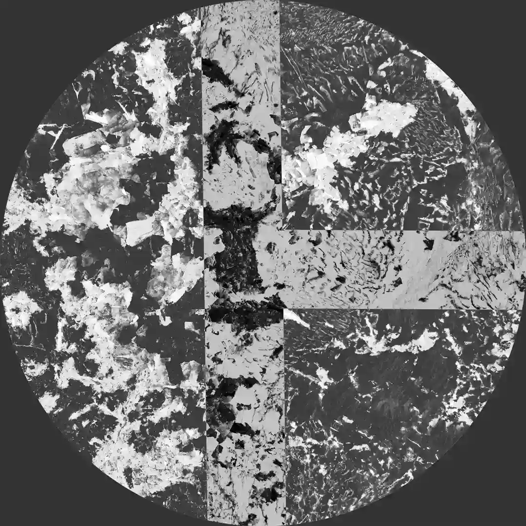 Agree to disagree (original) cover
