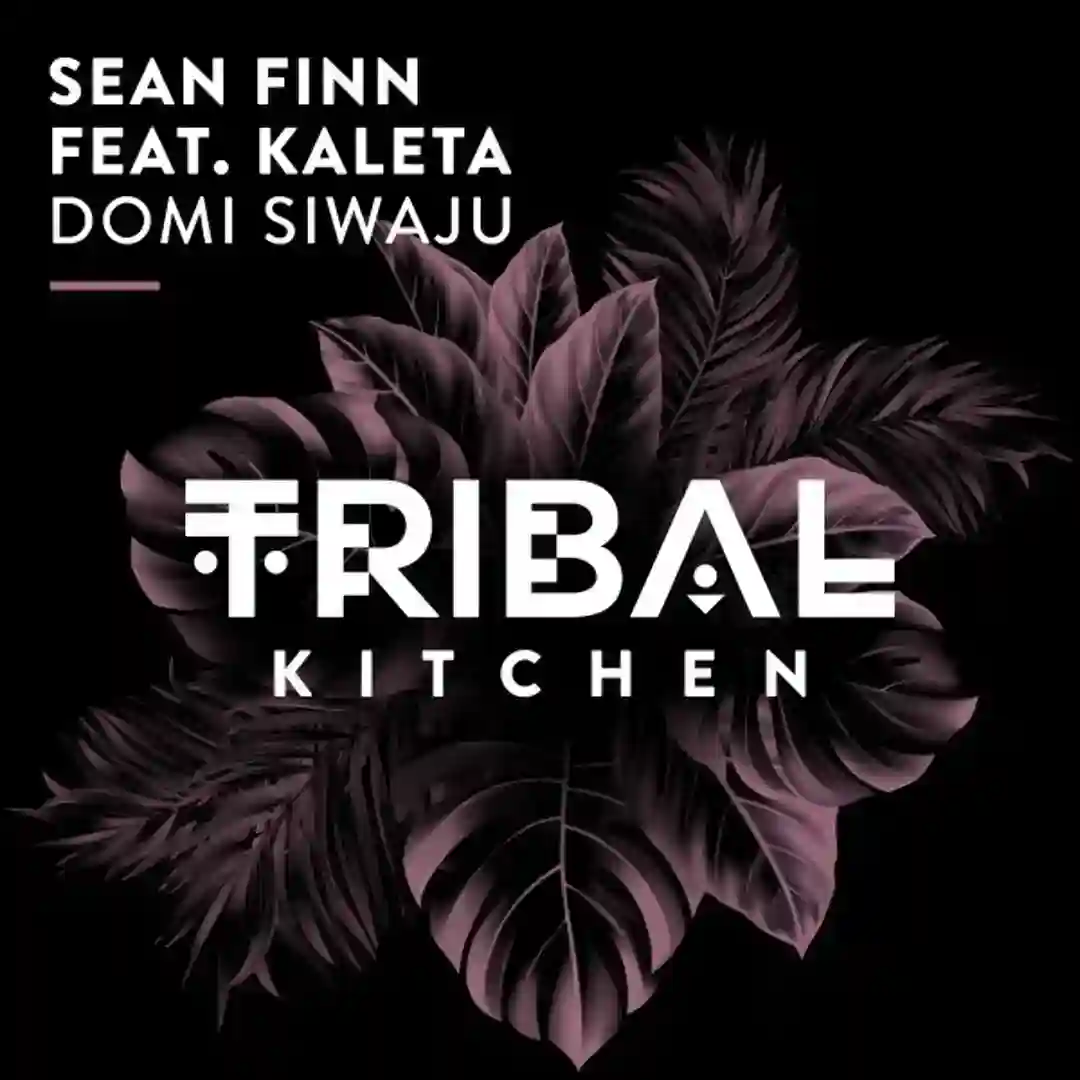 Domi Siwaju cover
