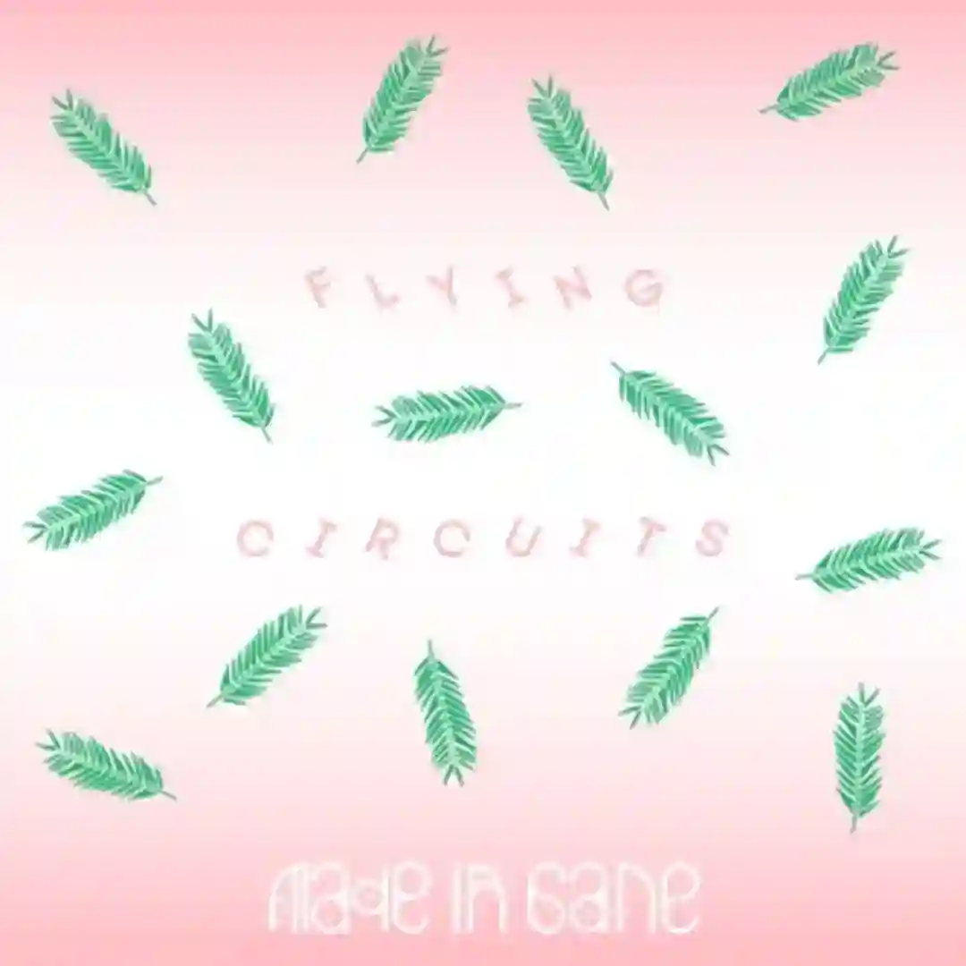 Flying Circuits (Morkeby Bissi Zebra remix) cover