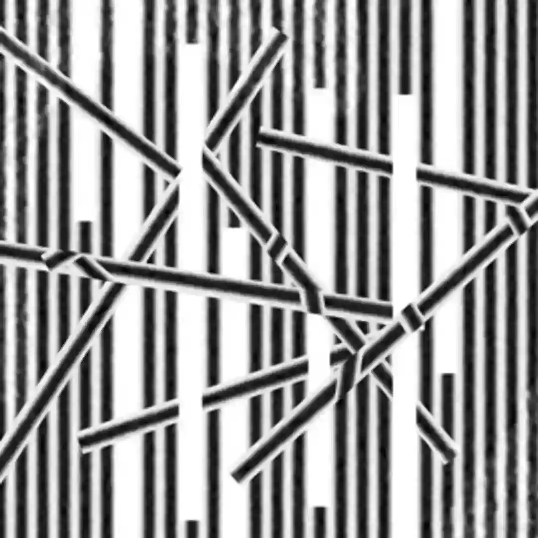 Meiosis cover