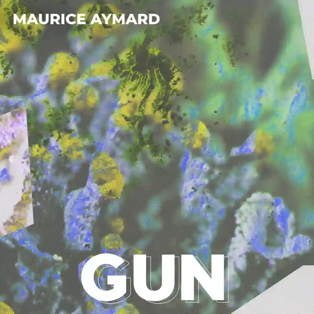 Gun cover