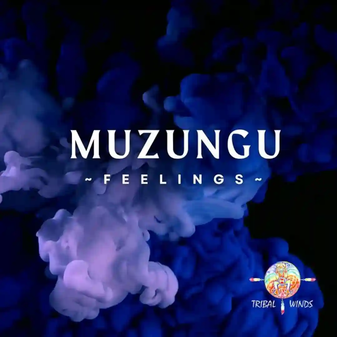 Feelings (Original Mix) cover