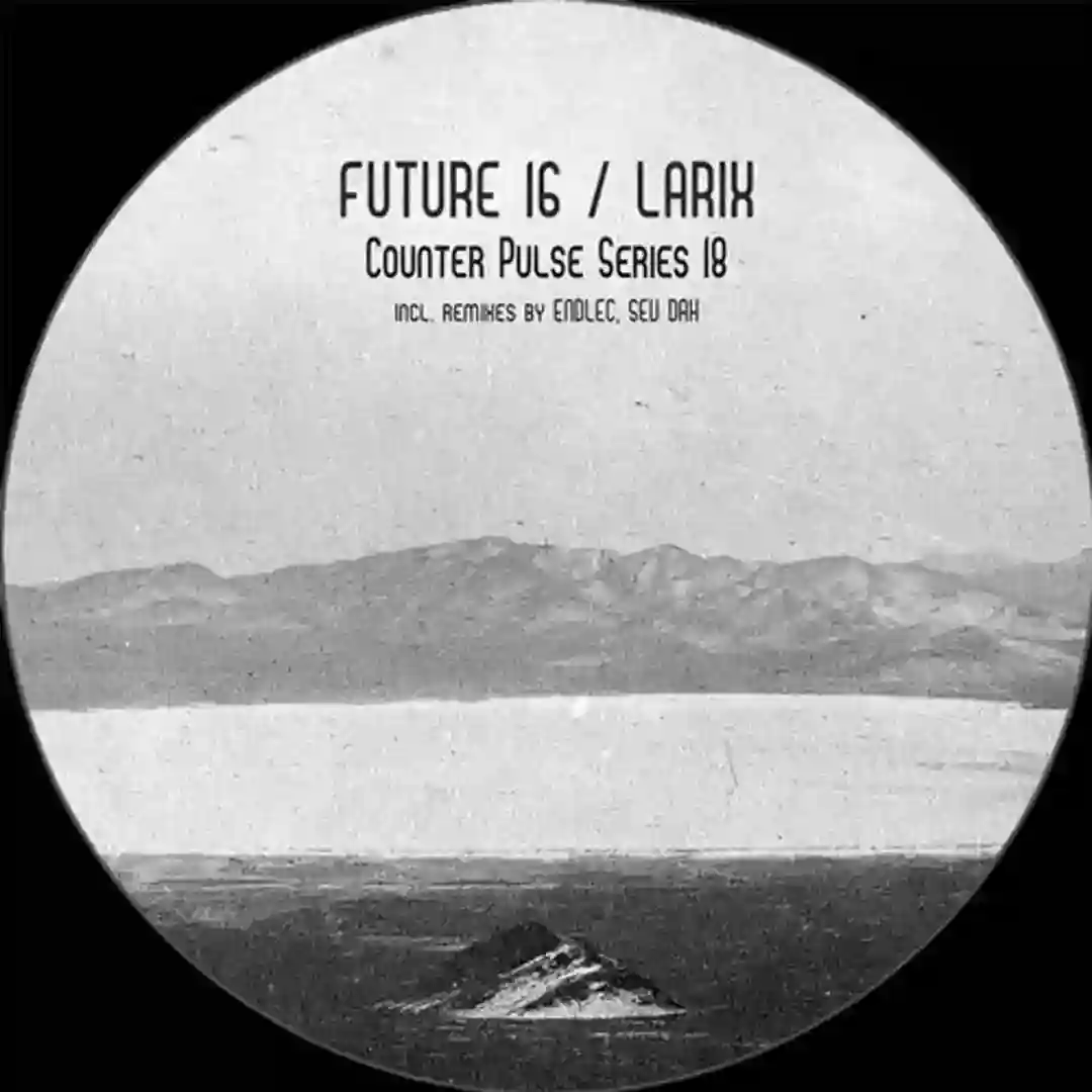 The Counter (Original Mix) cover