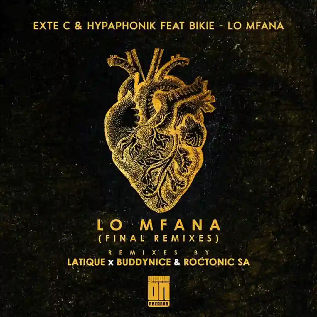 Lo Mfana (Buddynice & Roctonic SA Redemial Mix) cover