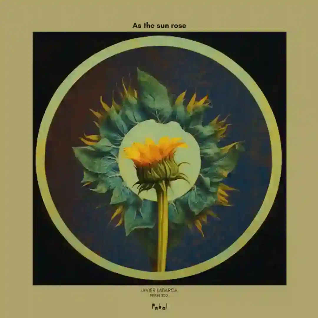 As the sun Rose cover