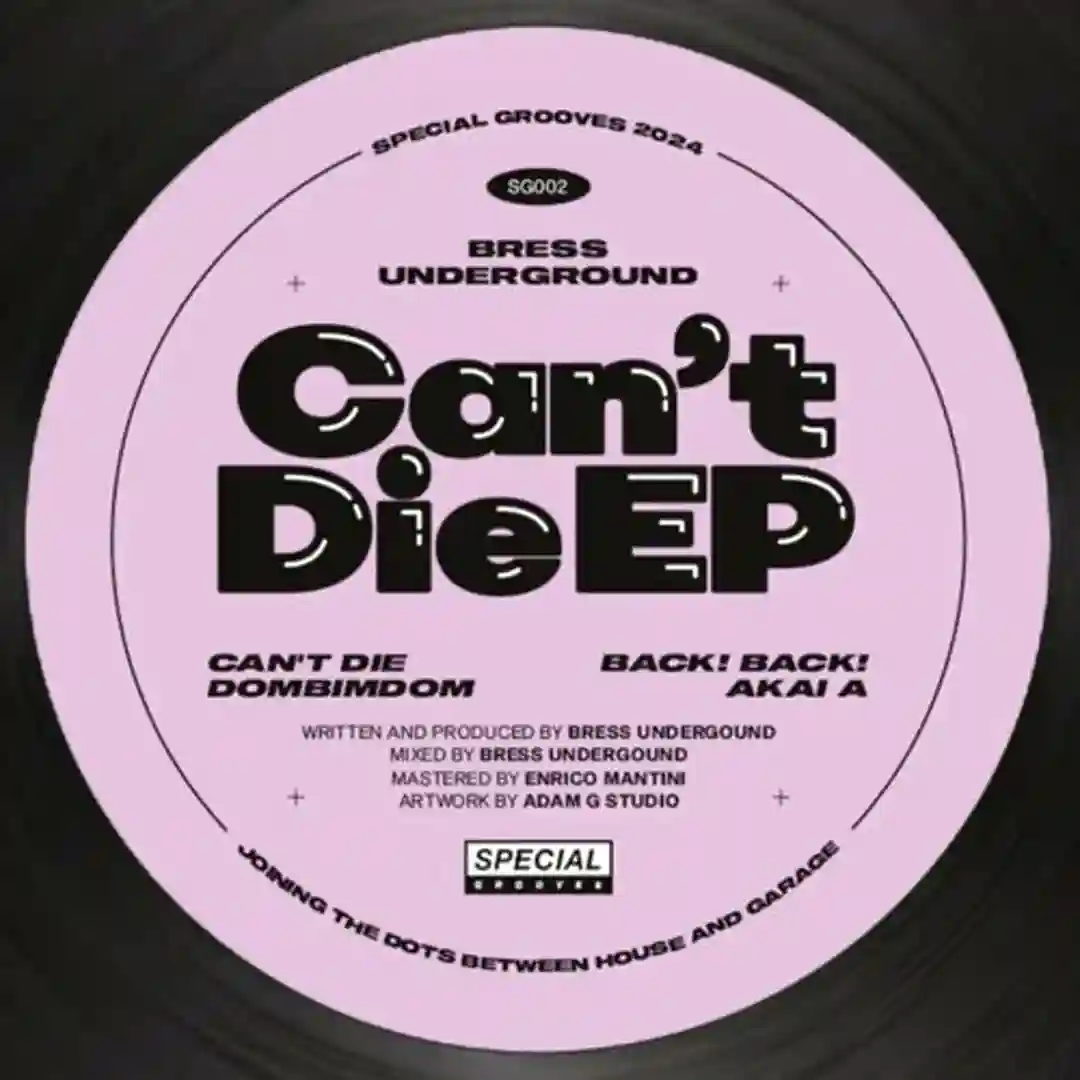 Can't Die cover