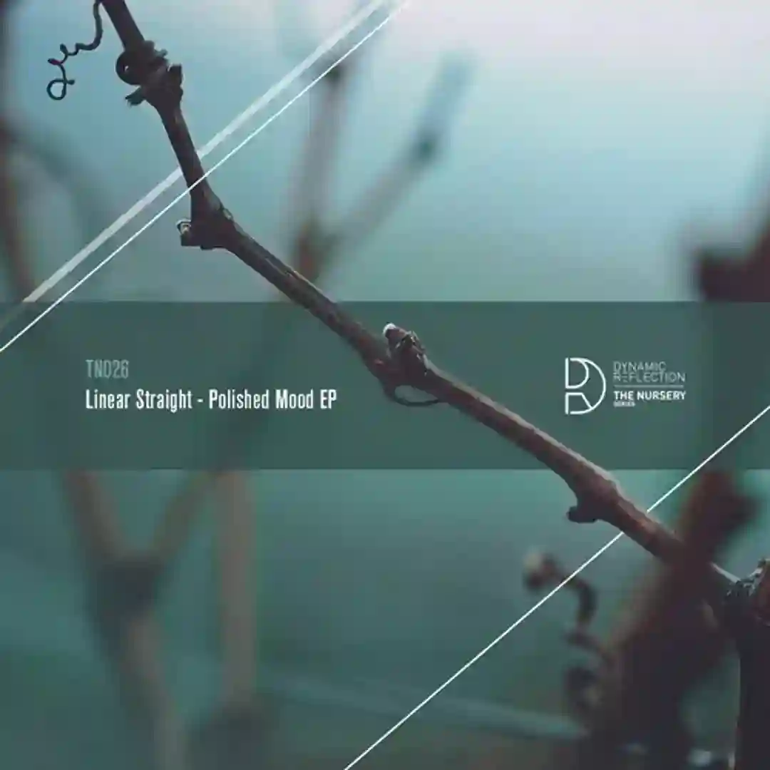 Distant Resonators (Original Mix) cover