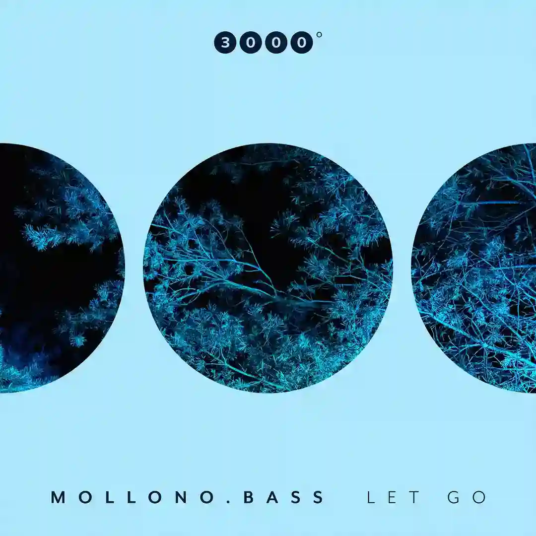 Let Go (Instrumental Mix) cover