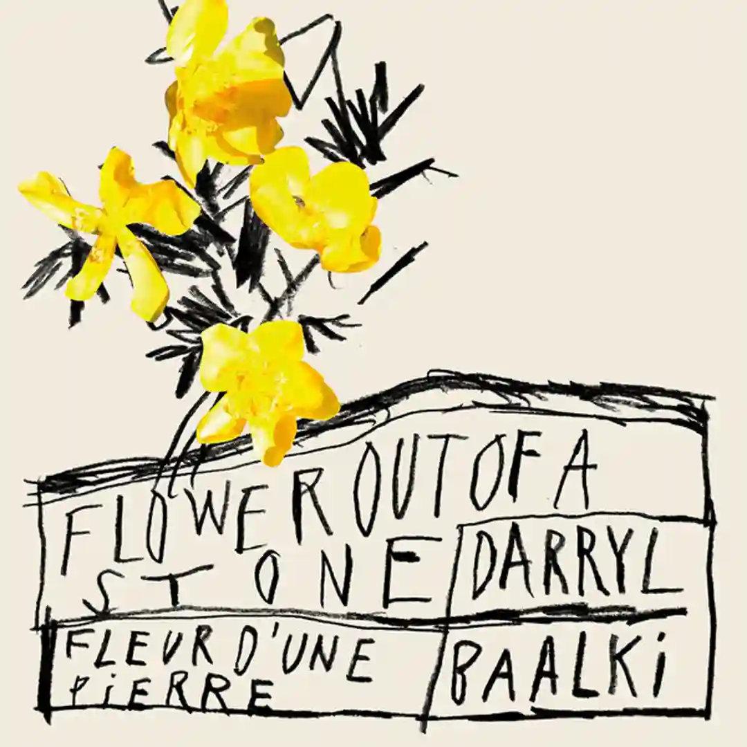 Flower Out Of A Stone EP cover