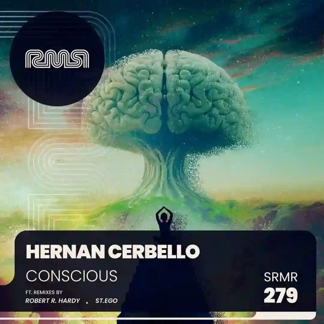 Conscious (Robert R. Hardy Remix) cover