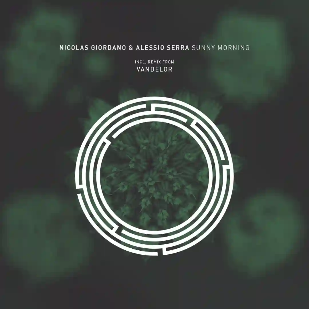 Sunny Morning (Vandelor Remix) cover