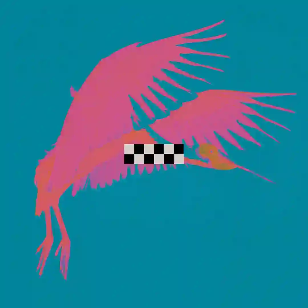 Free Bird cover