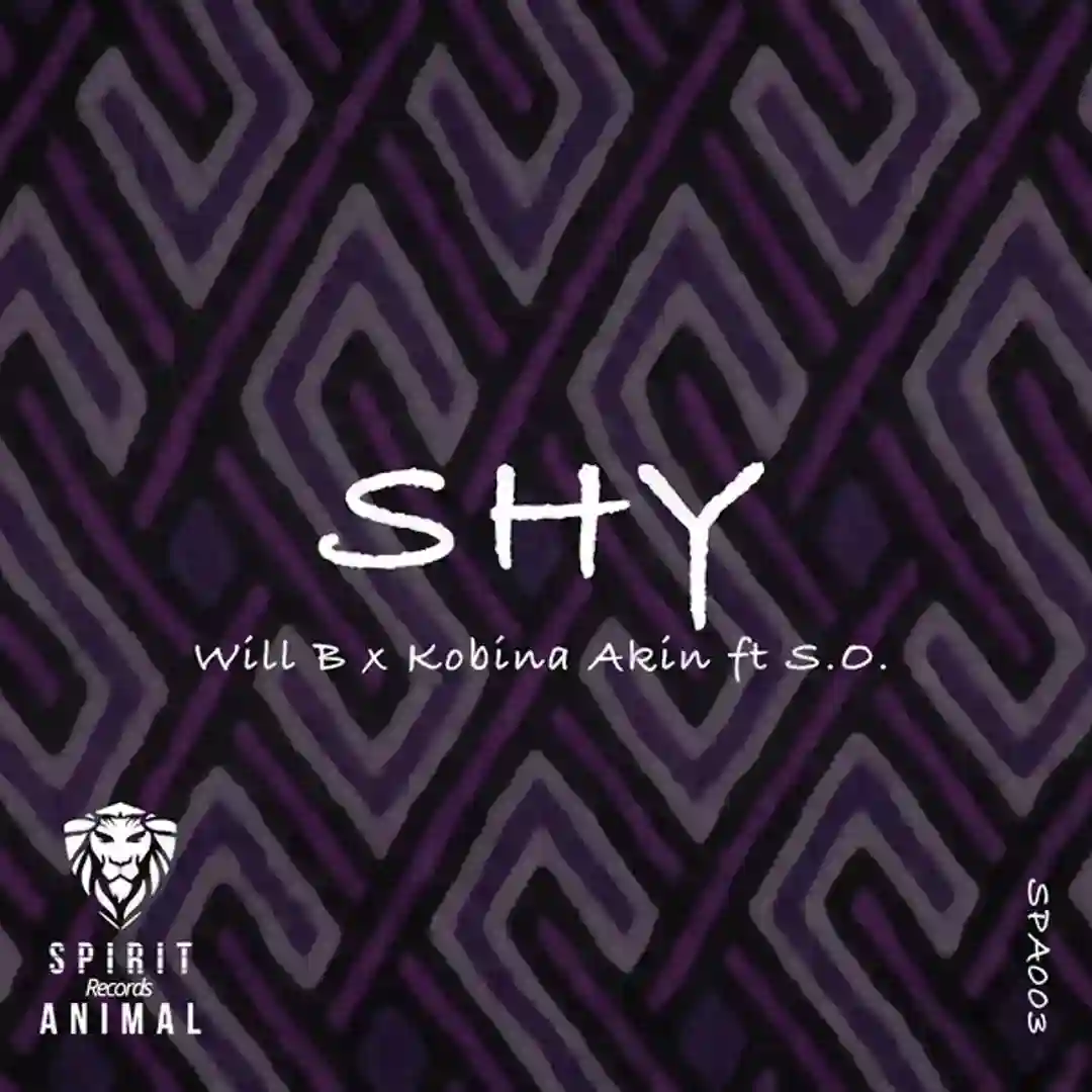 Shy (Original Dub Mix) cover