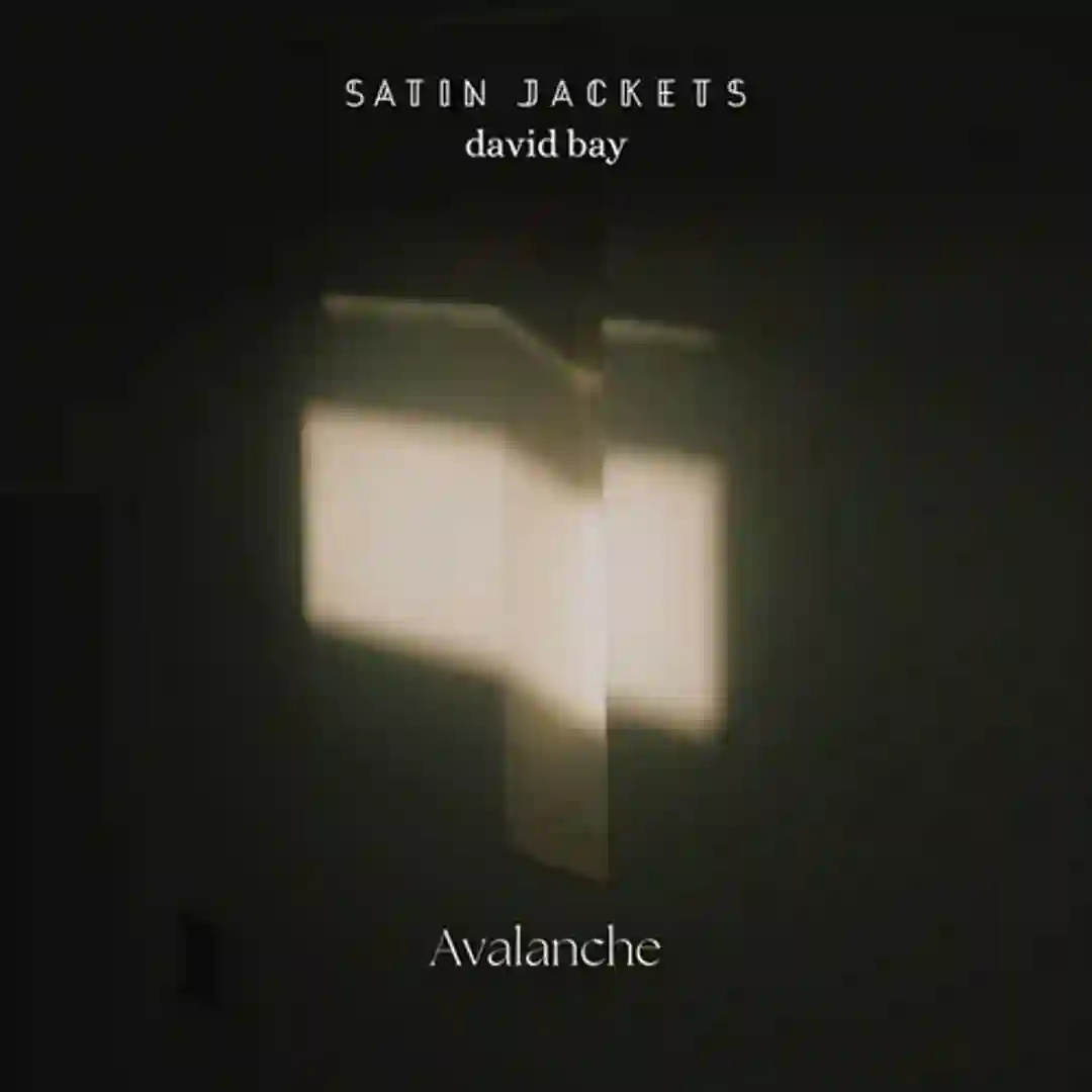 Avalanche cover