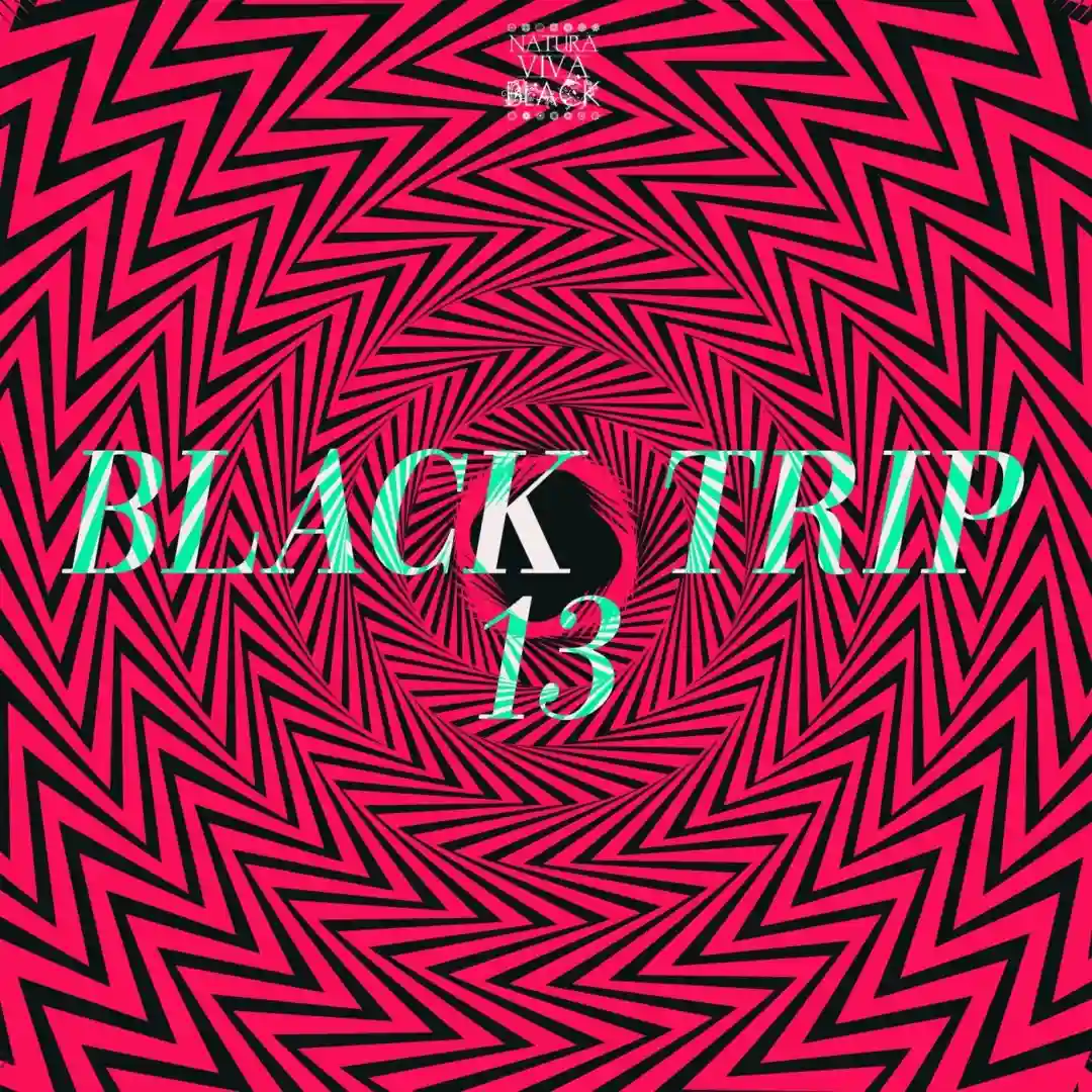 Black Trip 13 cover
