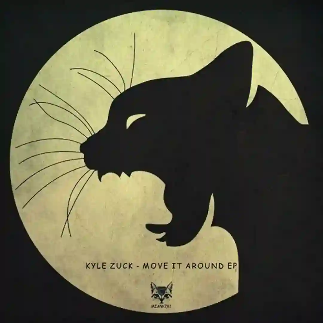 The Art Of Robbery (Original Mix) cover