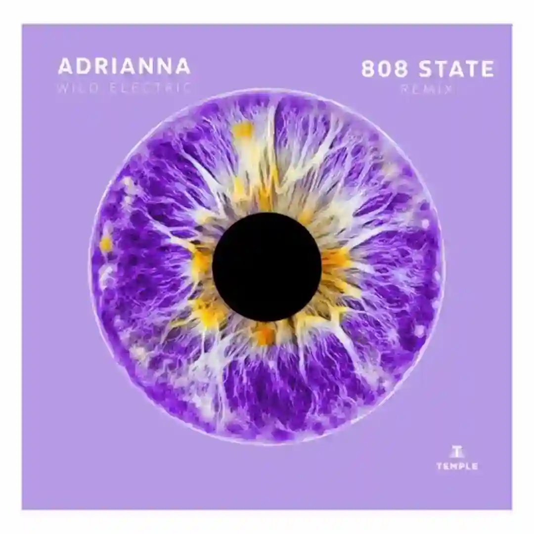 Wild Electric (808 State Remix Radio Edit) cover
