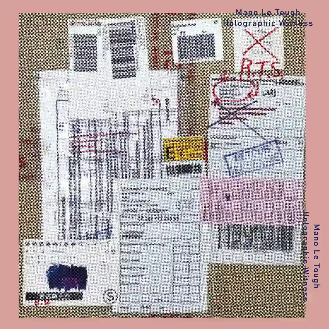 Holographic Witness cover