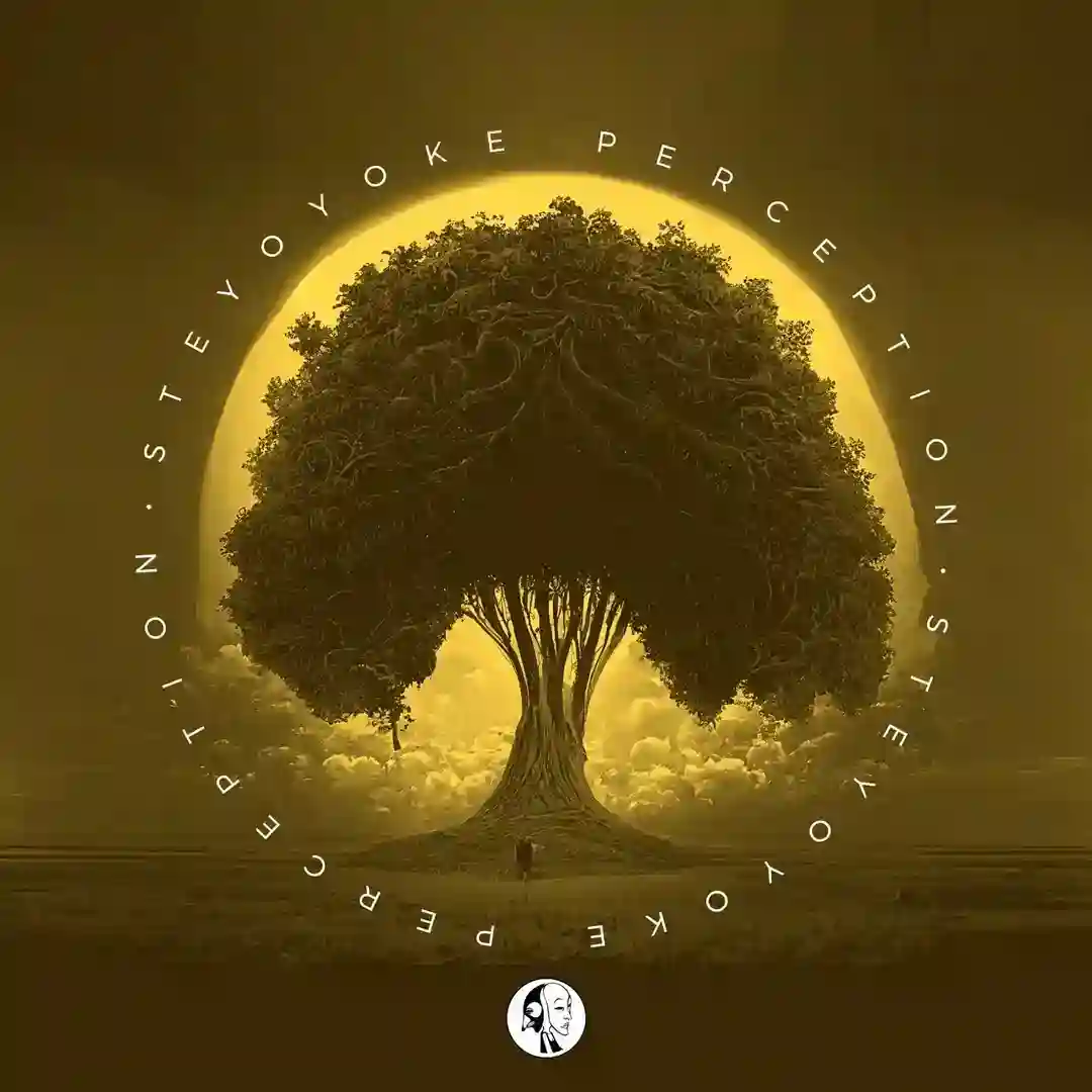 Crescendo (Lucio Consolo & Agustin Buaon Remix) cover