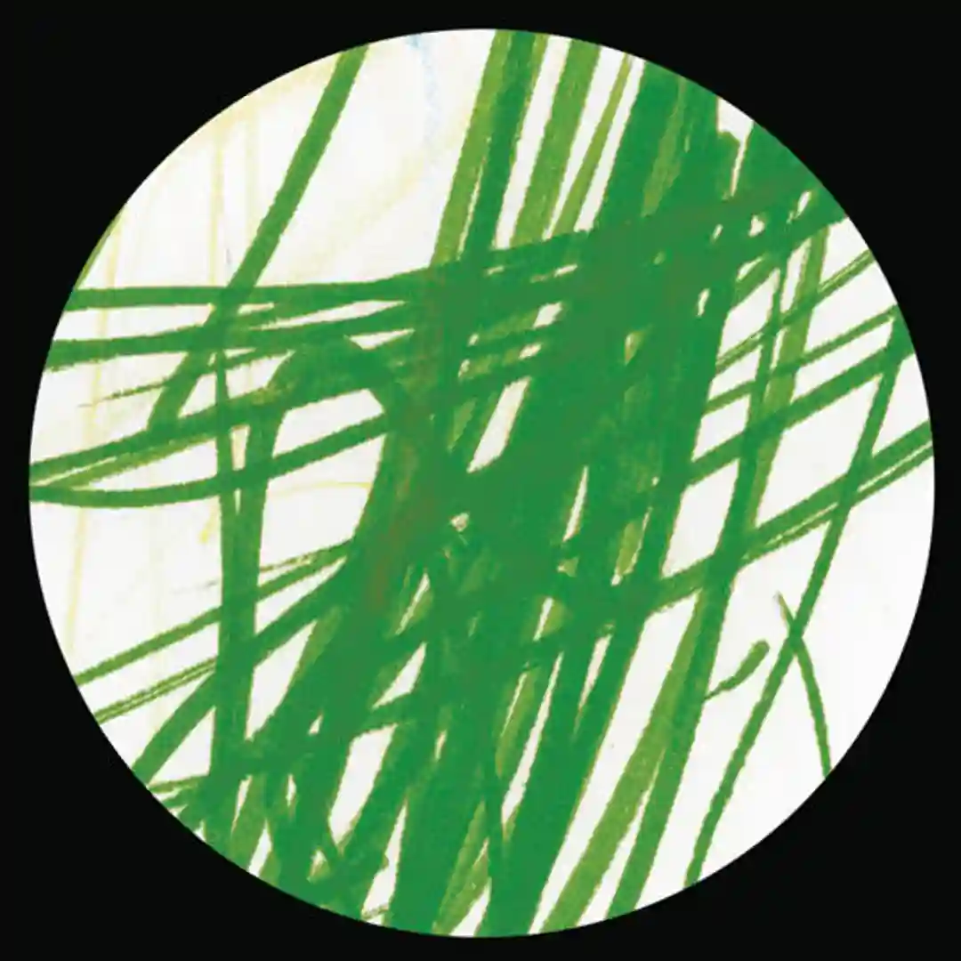 Sandy Roche cover