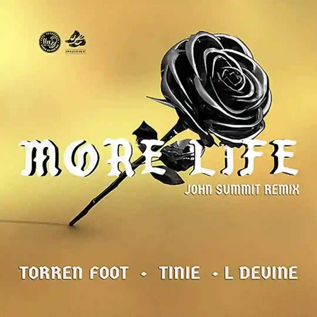 More Life (feat. Tinie Tempah & L Devine) (John Summit Extended Remix) cover