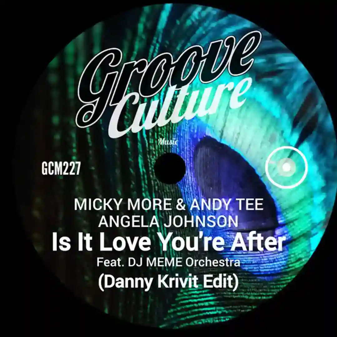 Is It Love You're After (Original Radio Edit) cover